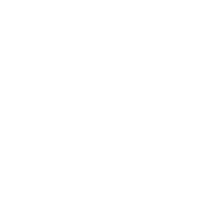 FHU_WebIcons_TeamSpeak.png