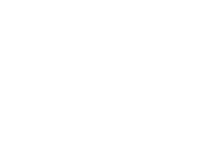 Hope For Indy