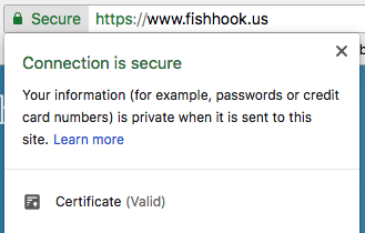 this_site_is_secure-615838-edited